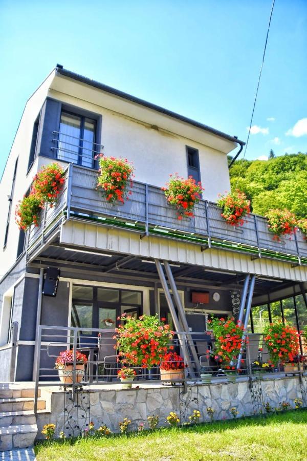 New Green สลานิก-มอลโดวา ภายนอก รูปภาพ